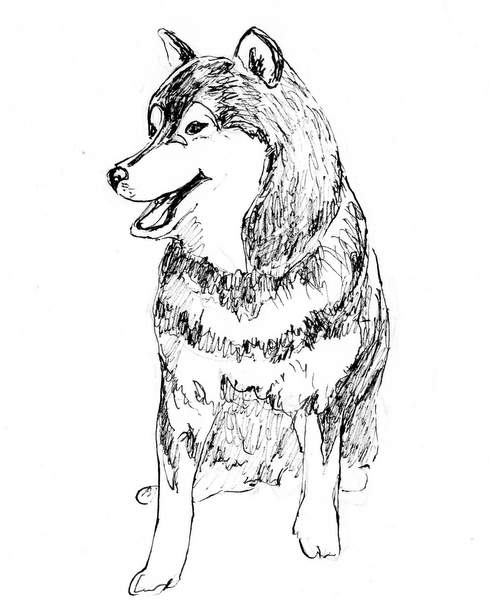 ペンで書いた犬の絵です