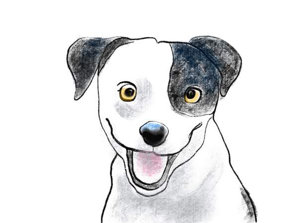 デジタルで描いた犬の絵