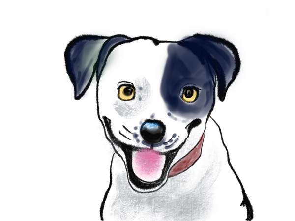デジタルで描いた犬の絵