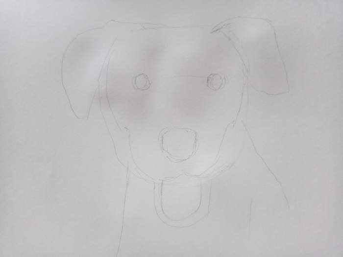 はじめの鉛筆下書き