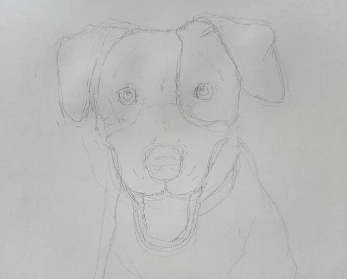 形を修正した鉛筆下書き